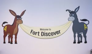 Fort Discover main image