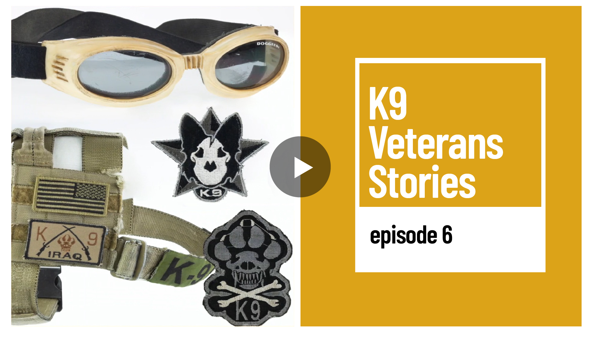 K9 Stories