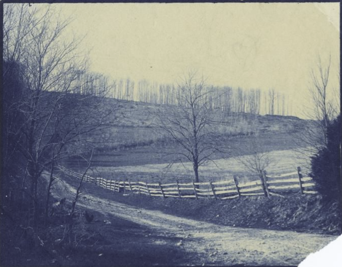The Miriam and Ira D. Wallach Division of Art, Prints and Photographs: Photography Collection, The New York Public Library. “Valley Forge, earthworks on top if hill in distance, view looking south.” New York Public Library Digital Collections.